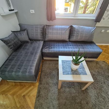 Nikola Tesla City Walk Apartment Nis Luaran gambar