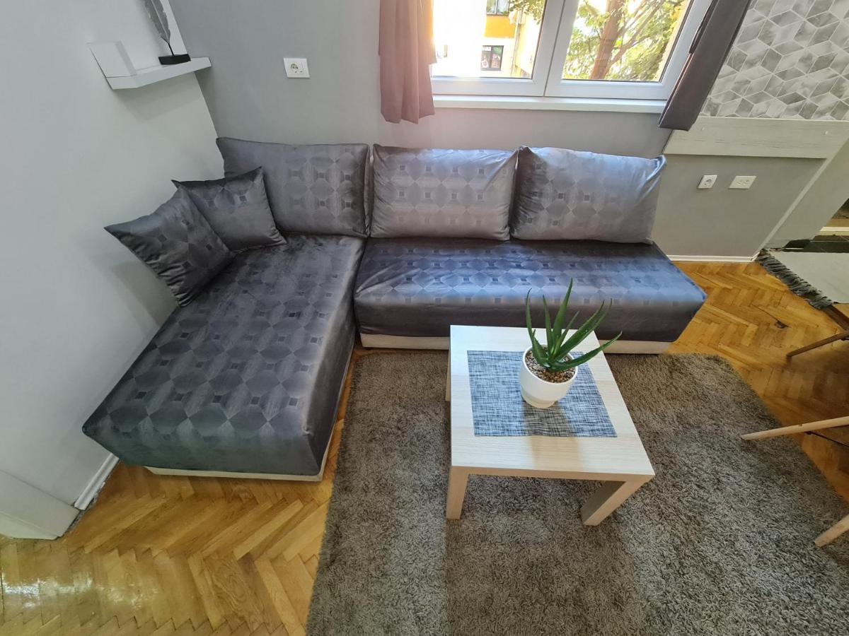 Nikola Tesla City Walk Apartment Nis Luaran gambar